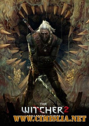 Ведьмак 2: Убийцы королей / The Witcher 2: Assassins of Kings [v 3.2.1.0 + 13 DLC] [RePack] [2011 / RUS]