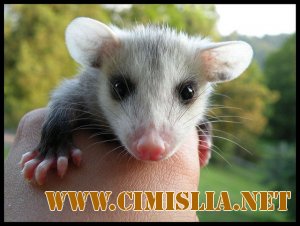 Фотоподборка