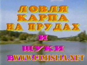 Русская рыбалка: Ловля карпа на прудах и щуки на реках. [2005 / DVDRip]