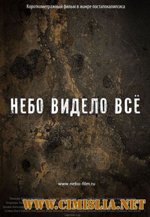 Небо видело всё [2011 / BDRip]