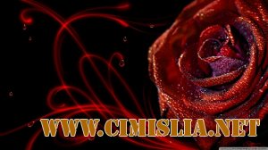 Обои для рабочего стола - Black and White [2011]