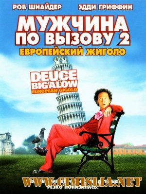 Мужчина по вызову 2 / Deuce Bigalow: European Gigolo [2005 / DVDRip]