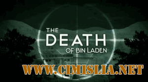 Уничтожить бин Ладена / The Death of Bin Laden [2011 / SATRip]