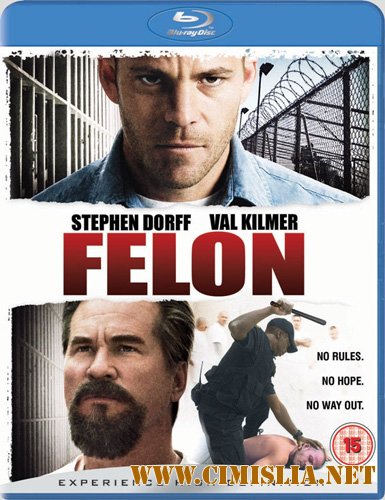 Преступник / Felon [2008 / DVDRip]