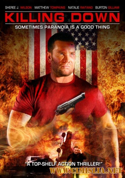 Единственный свидетель / Killing Down [2006 / DVDRip]