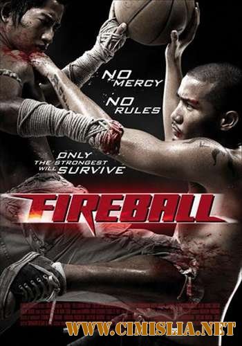Файрбол / Fireball [2009 / DVDRip]