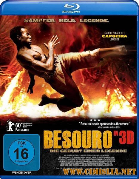 Жук / Бизору / Besouro [2009 / HDRip]