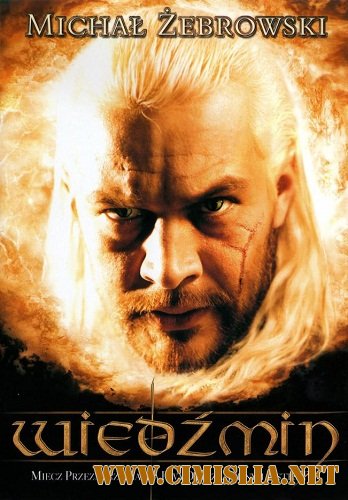 Ведьмак / Wiedzmin [2001 / DVDRip]