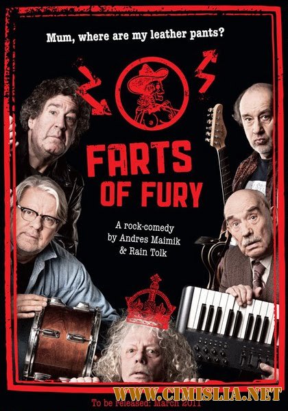 Кормораны, или Кожаные штаны не стирают / Kormoranid ehk Nahkp&#252;kse ei pesta [2011 / DVDRip]