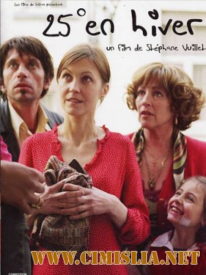 Зимняя жара / 25 Degres En Hiver [2004 / DVDRip]