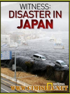 Катастрофа в Японии: Свидетельства очевидцев / Witness: Disaster In Japan [2011 / SatRip]