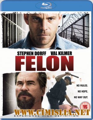 Преступник / Felon [2008 / DVDRip]