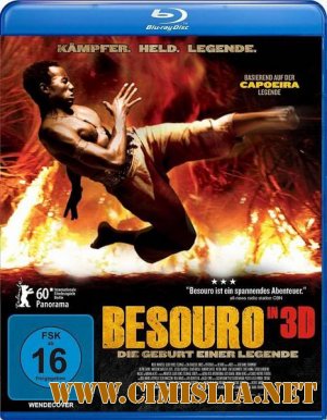 Жук / Бизору / Besouro [2009 / HDRip]
