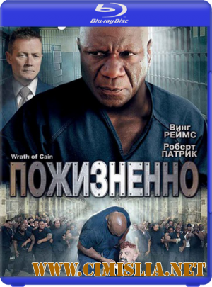 Пожизненно / The Wrath of Cain [2010 / BDRip]