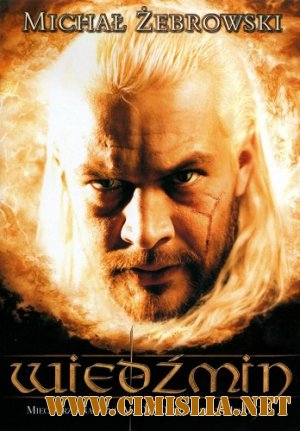 Ведьмак / Wiedzmin [2001 / DVDRip]