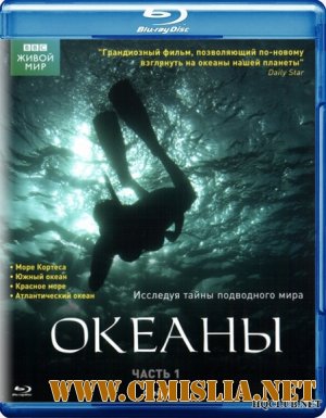 BBC: Океаны / Oceans [2008 / BDRip]