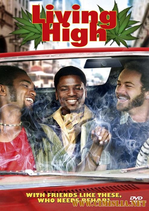 Мозги набекрень / Puff, Puff, Pass  [2006 / DVDRip]