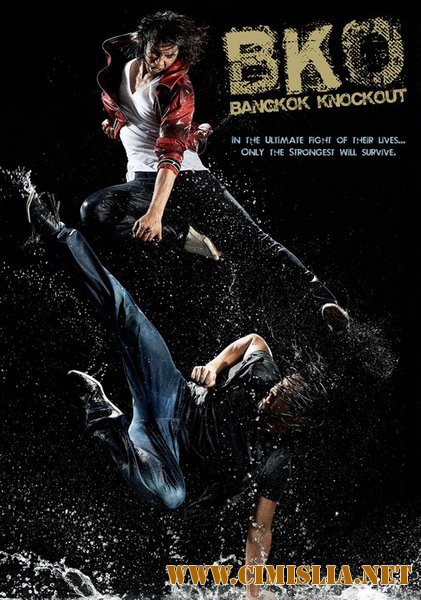 Бангкокский нокаут / BKO: Bangkok Knockout [2010 / DVDRip]