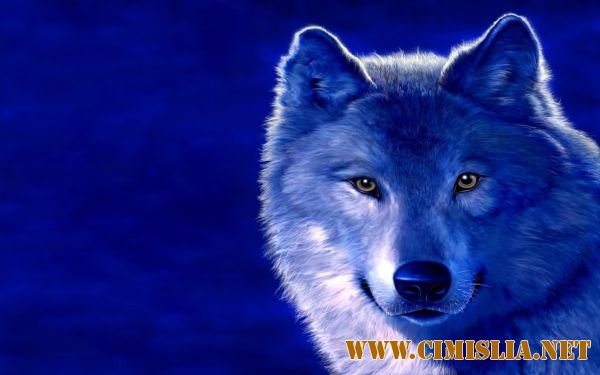 Обои для рабочего стола - HQ Wallpapers Collection "Яркий коктейль" [Pack 11] [2011]