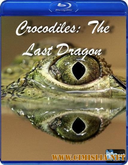 Крокодилы: Последний дракон / Crocodiles: The Last Dragon [2010 / HDTV]