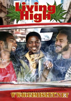 Мозги набекрень / Puff, Puff, Pass  [2006 / DVDRip]