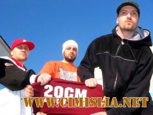 Parazitii - Sau  [2011]