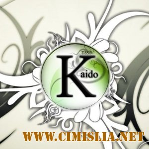 Kaido Player 7.0.88.88 SE-T3 [Freeware / Русский]
