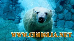 Обои для рабочего стола - Разное [2011]