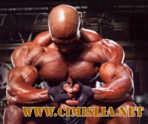 Тренировка мышц груди и рук. 2 уровня сложности [2011 / WebRip]