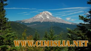 Обои для рабочего стола - Природа [2011]