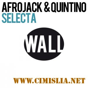 Afrojack & Quintino - Selecta [2011 / MP3 / 320]