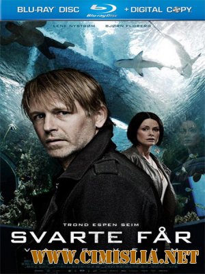 Варг Веум 8 - Чёрная овца / Varg Veum 8 - Svarte far / Black Sheep [2011 / HDRip]