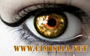 Обои для рабочего стола - Тематические [HD] [2011]