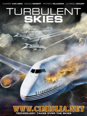 Тревожные небеса / Turbulent Skies [2010 / DVDRip]