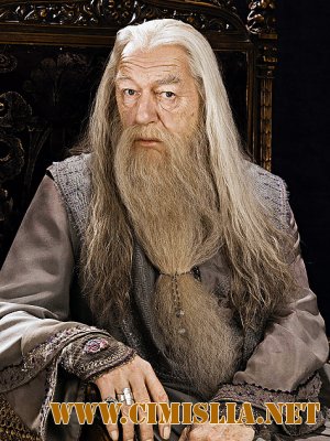 Альбус Дамблдор оказался лучшим волшебником