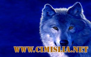 Обои для рабочего стола - HQ Wallpapers Collection "Яркий коктейль" [Pack 11] [2011]