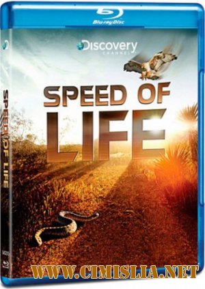 Discovery: Скорость жизни / Discovery: Speed of Life [1-3 серии из 3] [2010 / HDRip]
