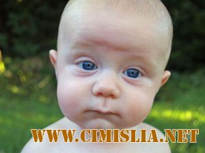 Фотоподборка