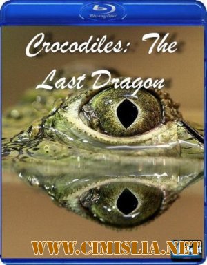 Крокодилы: Последний дракон / Crocodiles: The Last Dragon [2010 / HDTV]