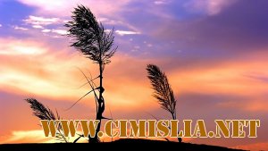 Обои для рабочего стола - Природа. Часть 5 [2011]