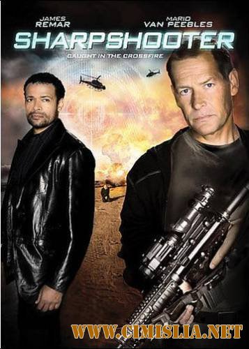 Последний выстрел / Sharpshooter [2007 / DVDRip]