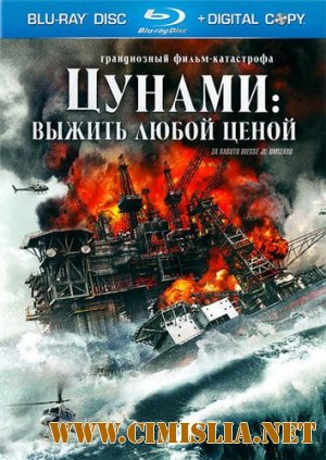 Цунами: Выжить любой ценой / Za rasuto messeji: Umizaru [2010 / HDRip]