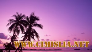 Обои для рабочего стола - Природа Часть 6 [2011]