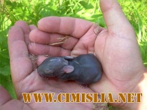 Фотоподборка