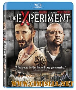 Эксперимент / The Experiment [2010 / BDRip-AVC]