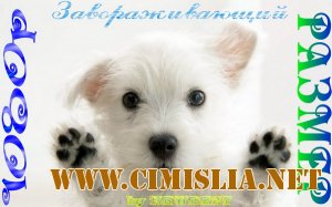 Сборник клипов - 1080p - россыпьююю [2011 / HD 1080p]