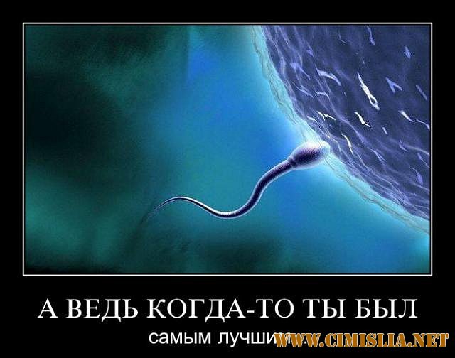 Демотиваторы которые заставляют задуматься. Часть 3 [2011]