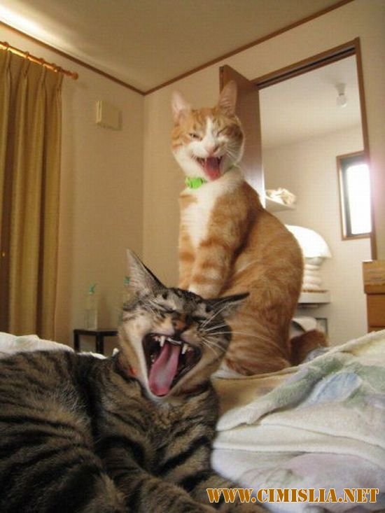 Фотоподборка