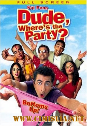 Где вечеринка, чувак? / Wheres the Party, Yaar? [2003 / DVDRip]