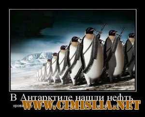 Демотиваторы которые заставляют задуматься. Часть 6 [2011]